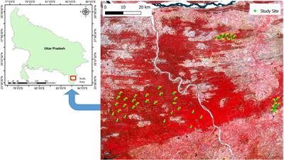 Variations in the plasticity of functional traits indicate the differential impacts of abiotic and biotic factors on the structure and growth of trees in tropical dry forest fragments